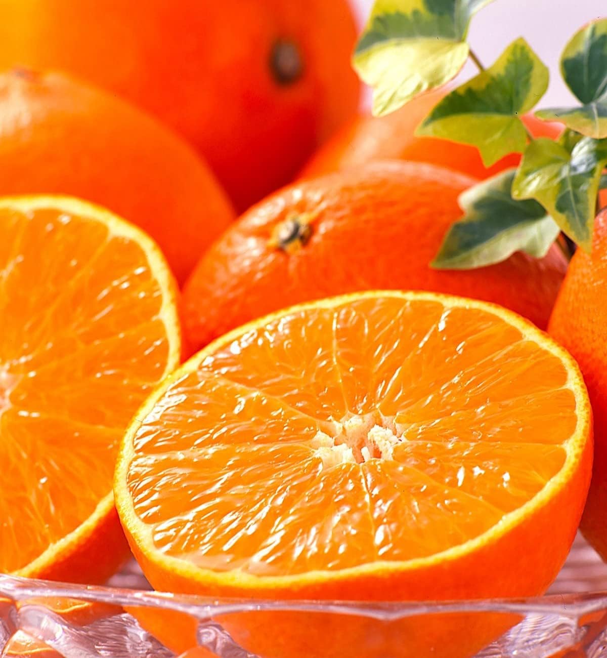 【絶品】高級みかん「せとか」約1.8kg 秀品 糖度:約13-14度 愛媛県産 糖度センサー識別 ギフト 化粧箱 お歳暮 贈答品 プレゼント Best Delicious Orange in the World