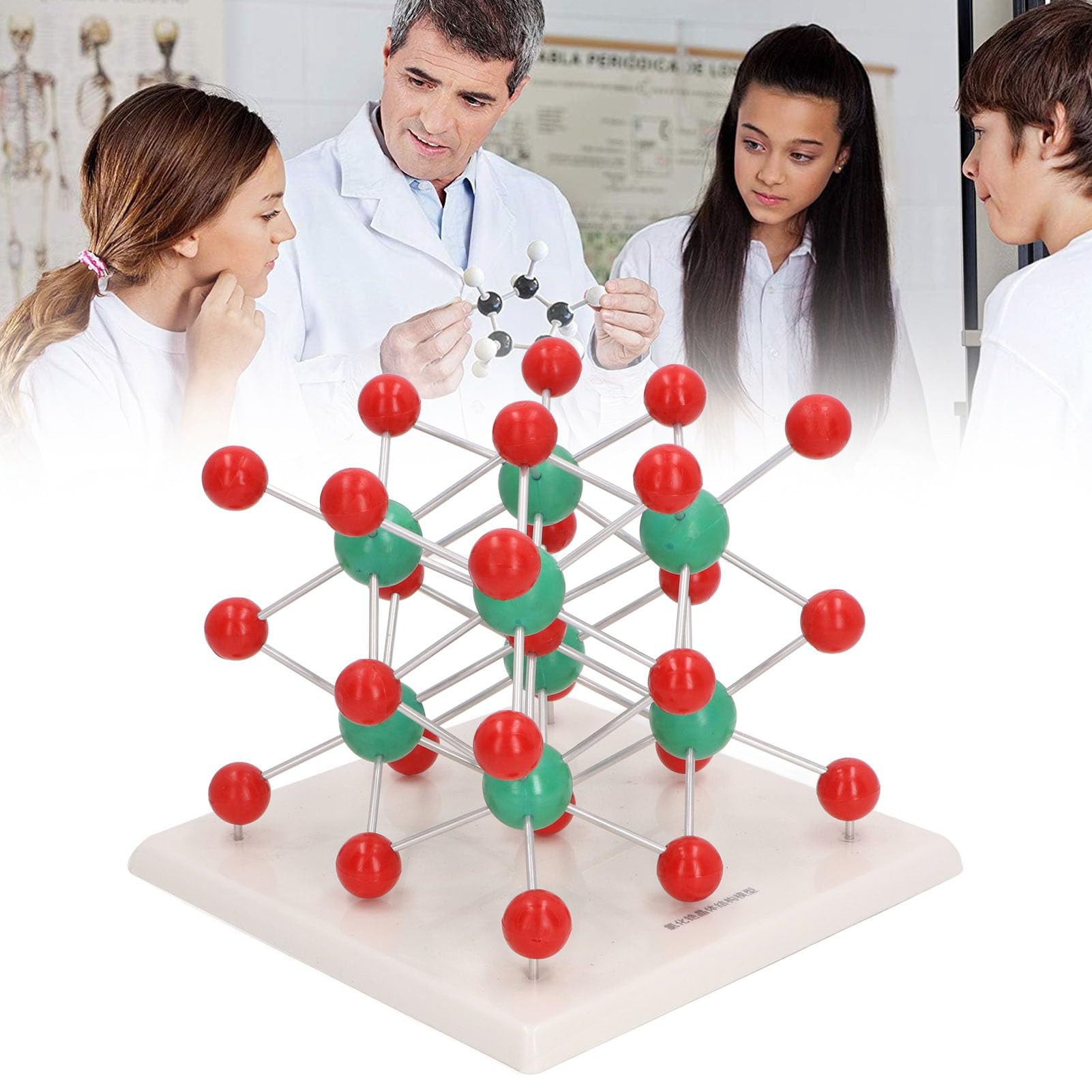 Generic Modèle Moléculaire pour étudiant, Excellent Matériau, Outil éducatif de Classe de Biologie Distinctif