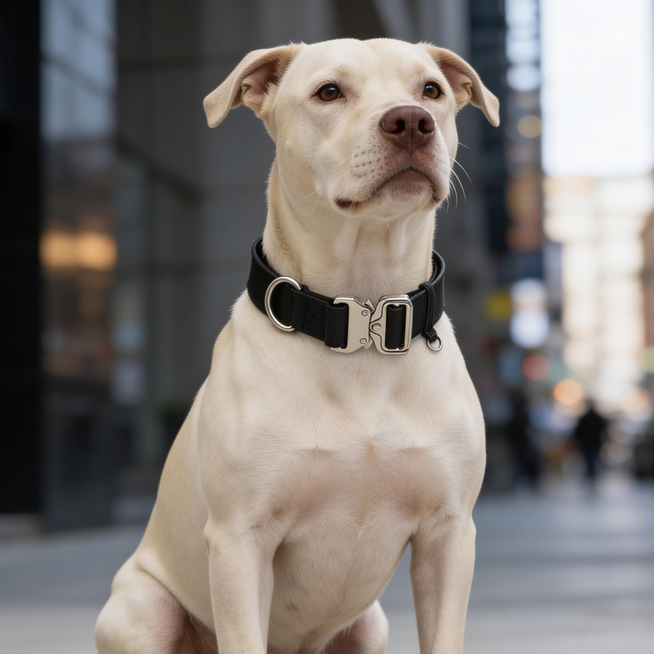 Collare per cani in pelle largo 3,8 cm, a sgancio rapido e design