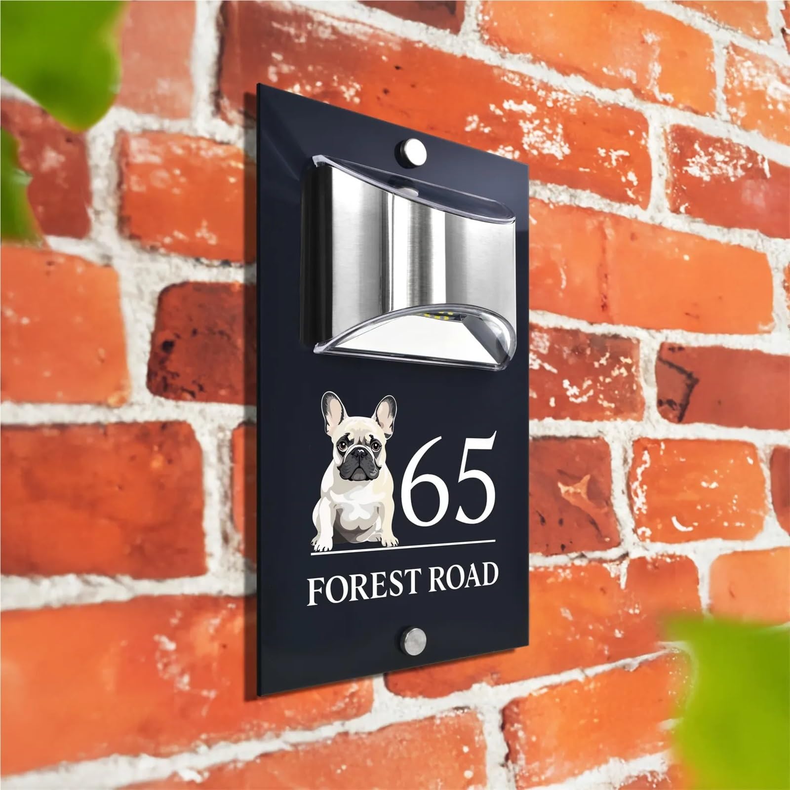 Numero civico, cartello con numero civico personalizzato con illuminazione solare, moderno, color antracite, design con cane e bulldog (stile 6,6 x 25,4 cm)