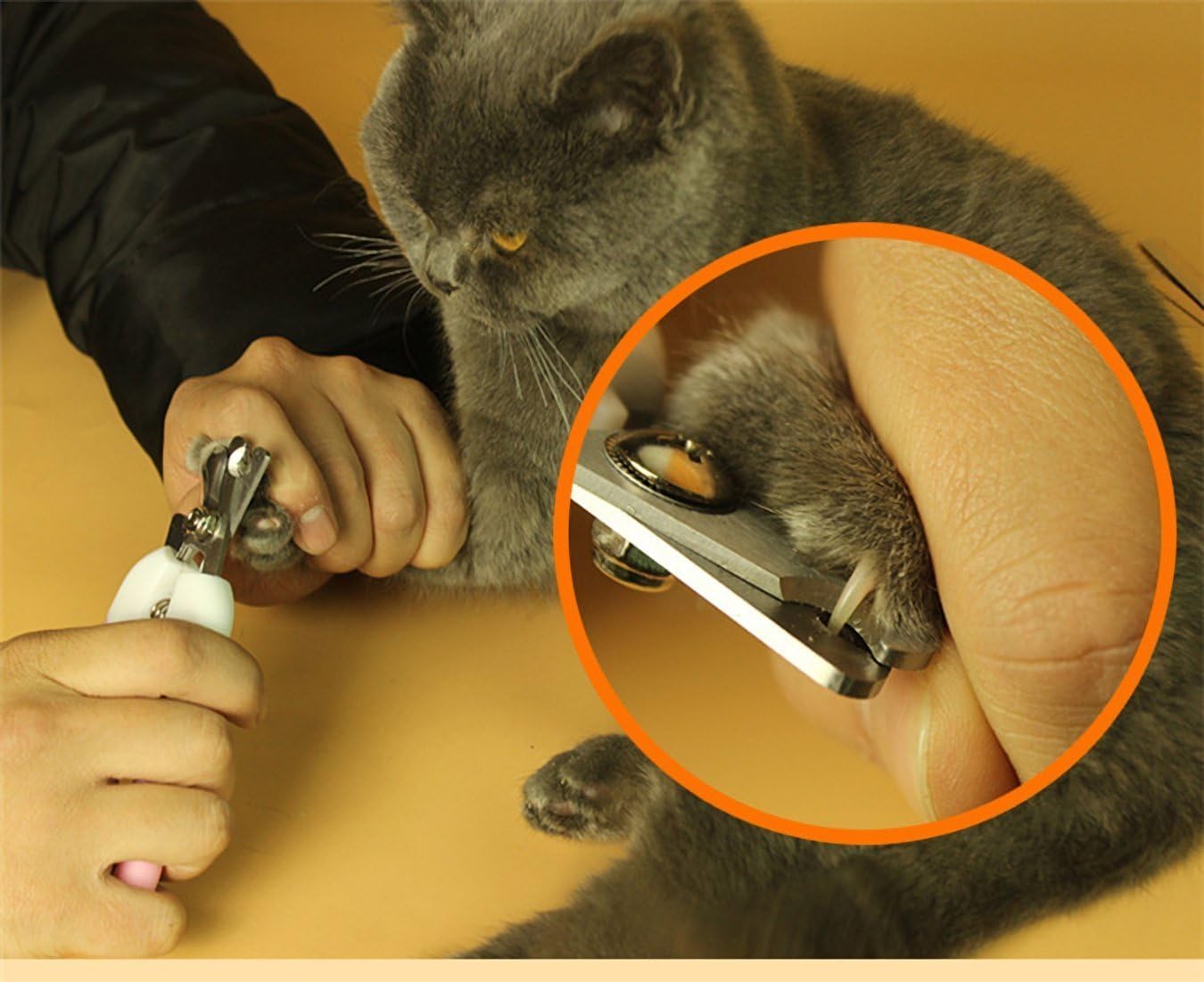 Amazon 犬用爪切り ペット用つめ切り ネイルクリッパ 切れ気味 共2色2サイズ 小 中型犬 猫兼用 M ピンク Zqjp 爪切り ネイルケア 通販