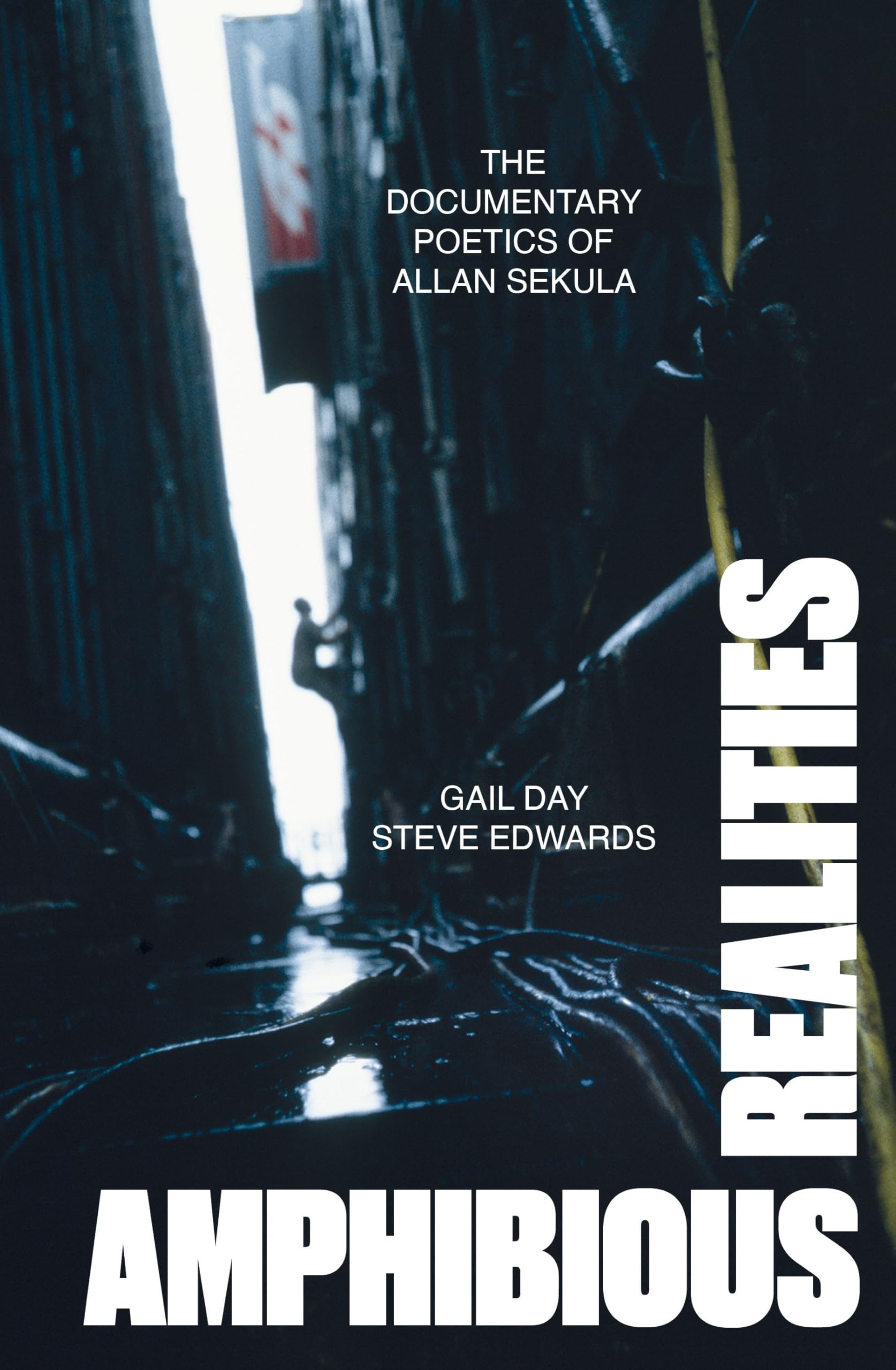 Amphibious Realities by Gail Day PAPERBACK 9781804295045