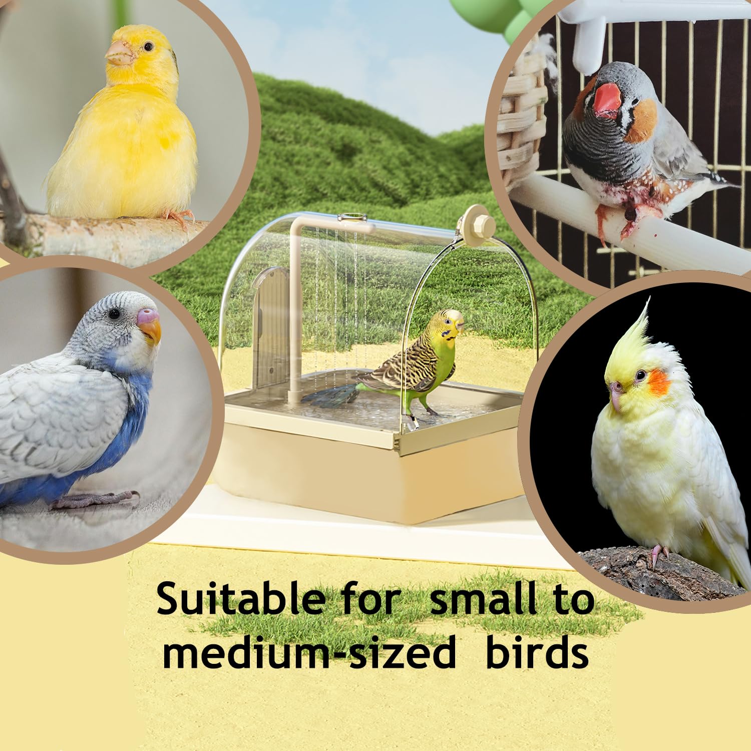 Bird Bath for Cage Clear, Automatic Indoor Cockatiel Bathtub Shower with Pump, Parrots Shower Accessories for Birdcage, Cleaning Supplies Shower Room for Parakeets, Finches, Canaries, Lovebirds - image 7