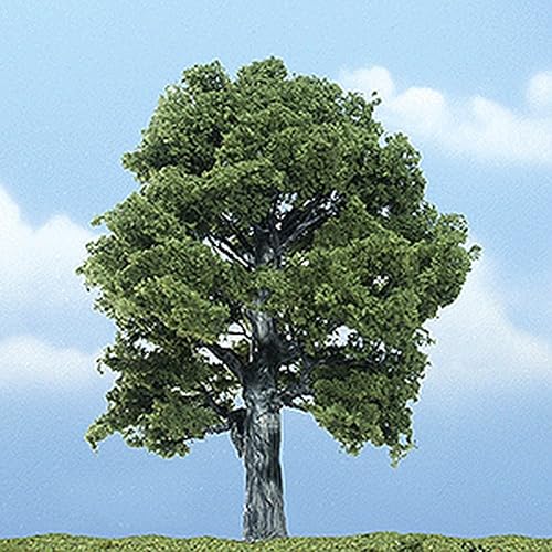 OAK 5 PREMIUM TREE