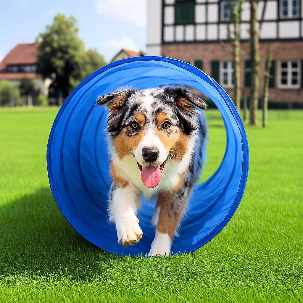Hunde Agility Tunnel - Hundetunnel 55x150cm Spieltunnel Agilitytunnel Hundehöhle LZ