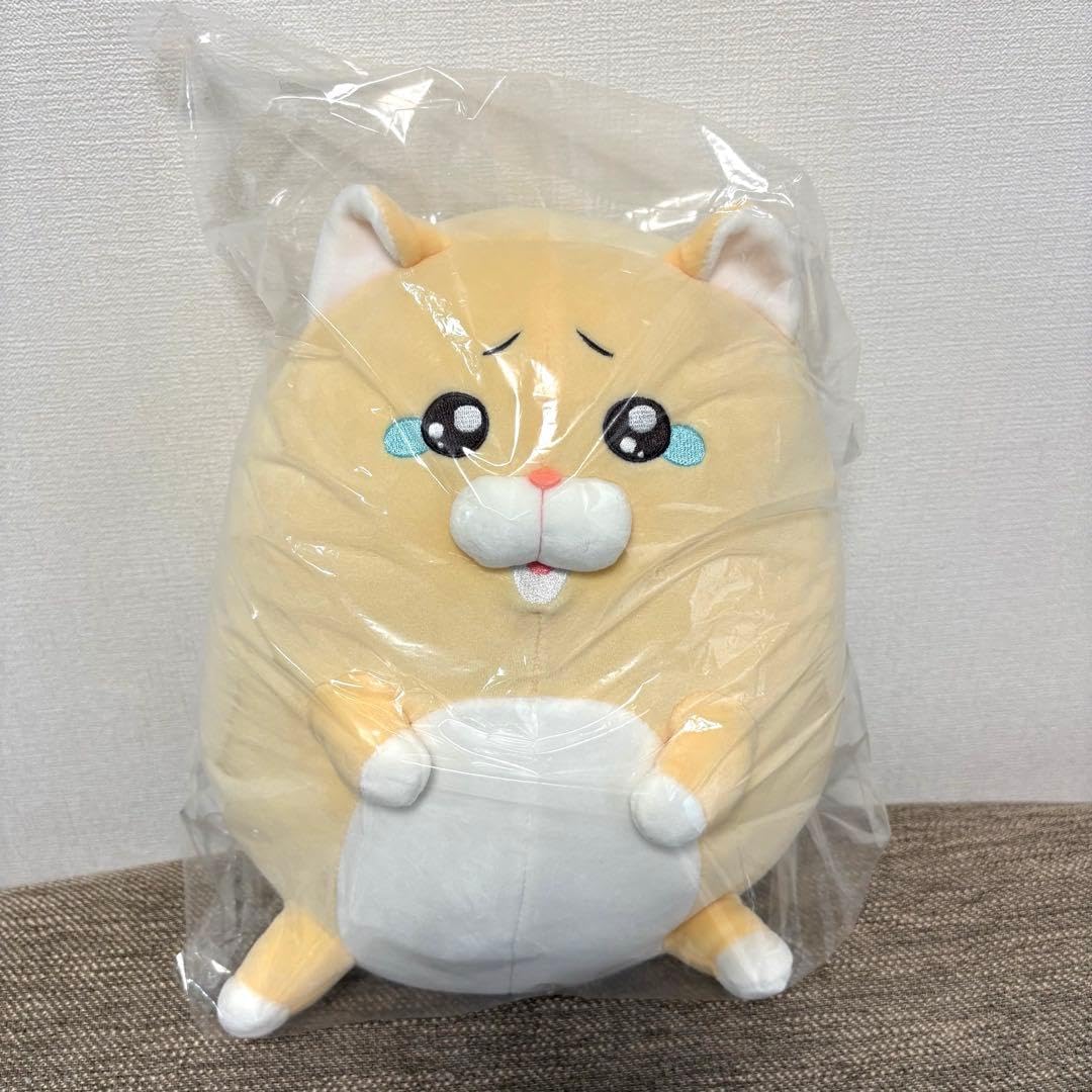 モフ缶 泣きむし猫のキィちゃん ましゅもっち ぬいぐるみ 2点セット Amazon.co.jp: モフ缶 泣きむし猫のキィちゃん ましゅもっち