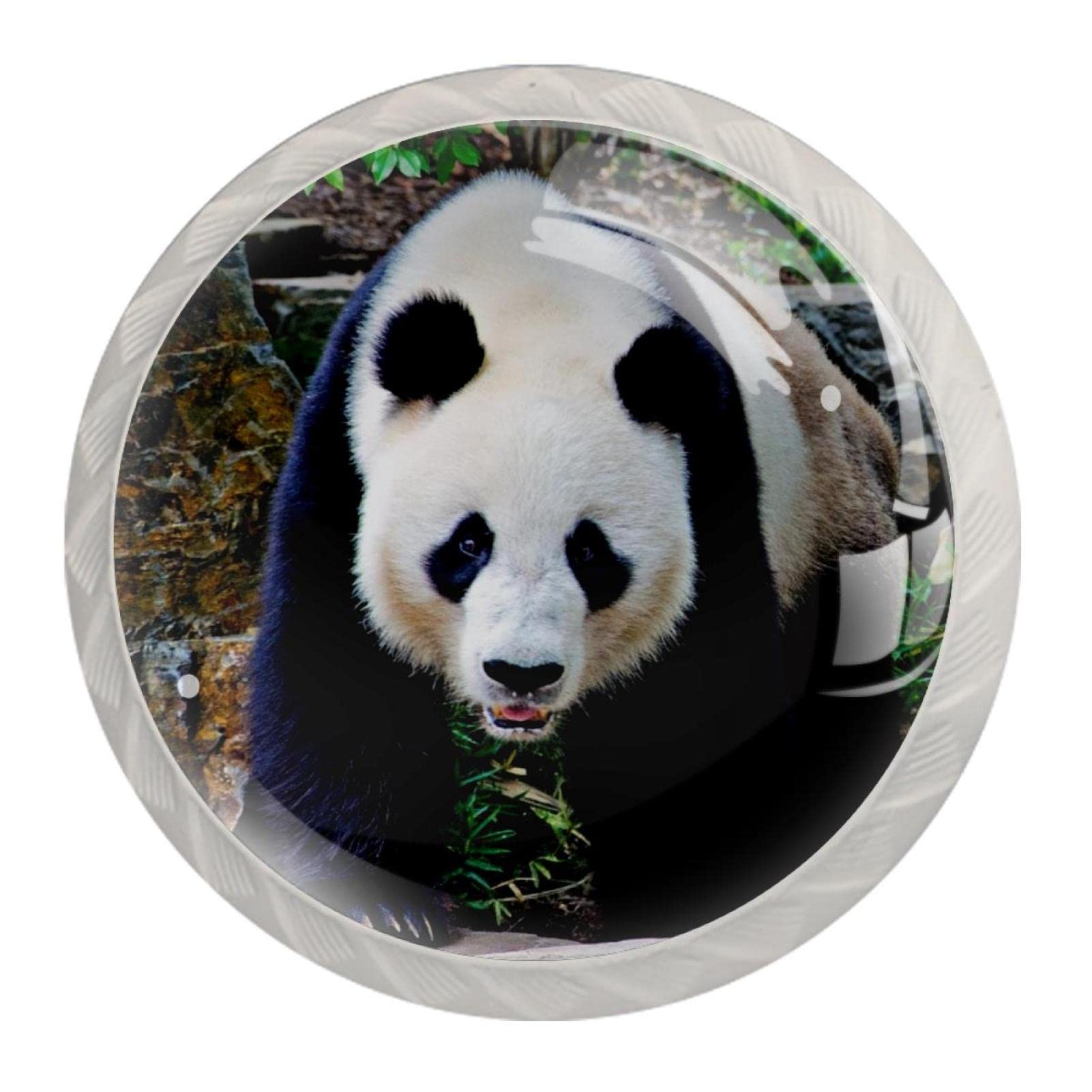 Boutons d'armoire chic panda et boutons de tiroir ronds pour meuble de cuisine