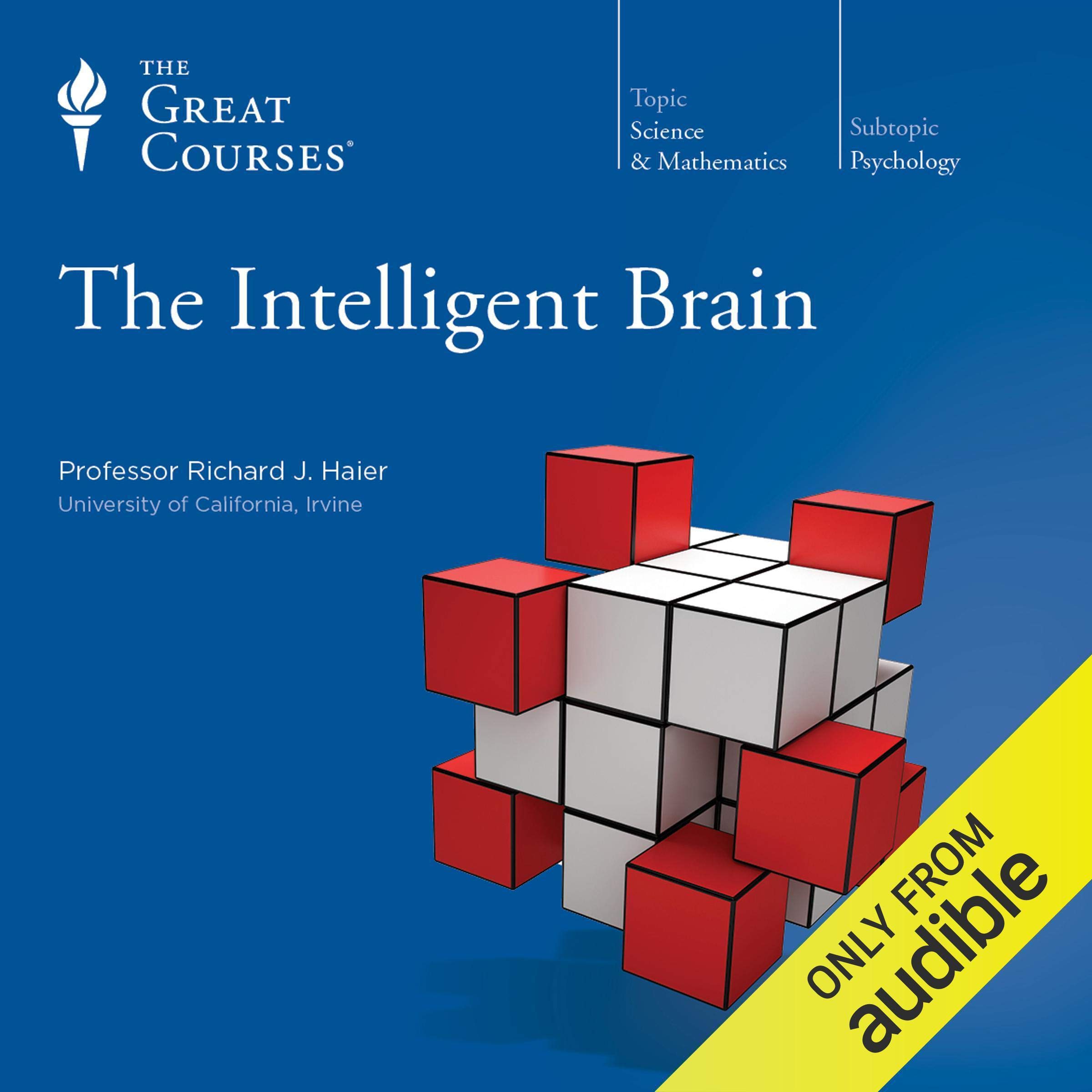The Intelligent Brain