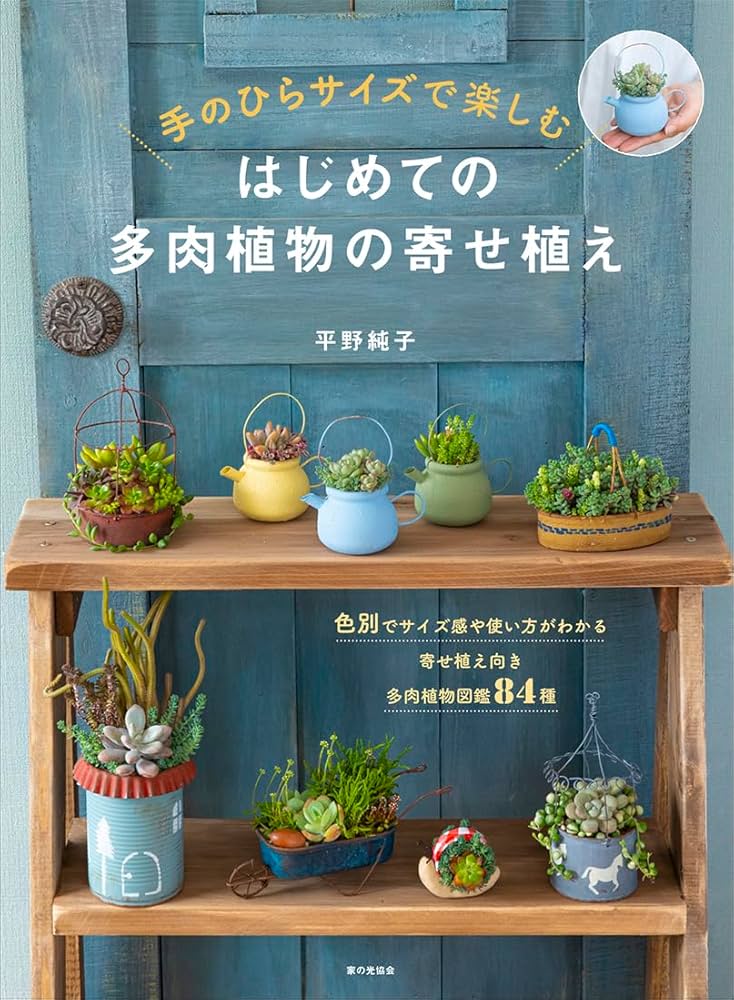 ☆多肉植物 寄せ植え〜Wぱんだちゃんの切り株寄せ セット〜☆ はじめての