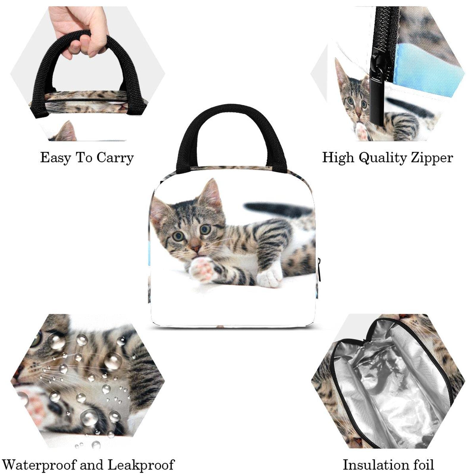 MyDaily - Portapranzo a forma di gatto, riutilizzabile, isolante, per la scuola, per donne e bambini