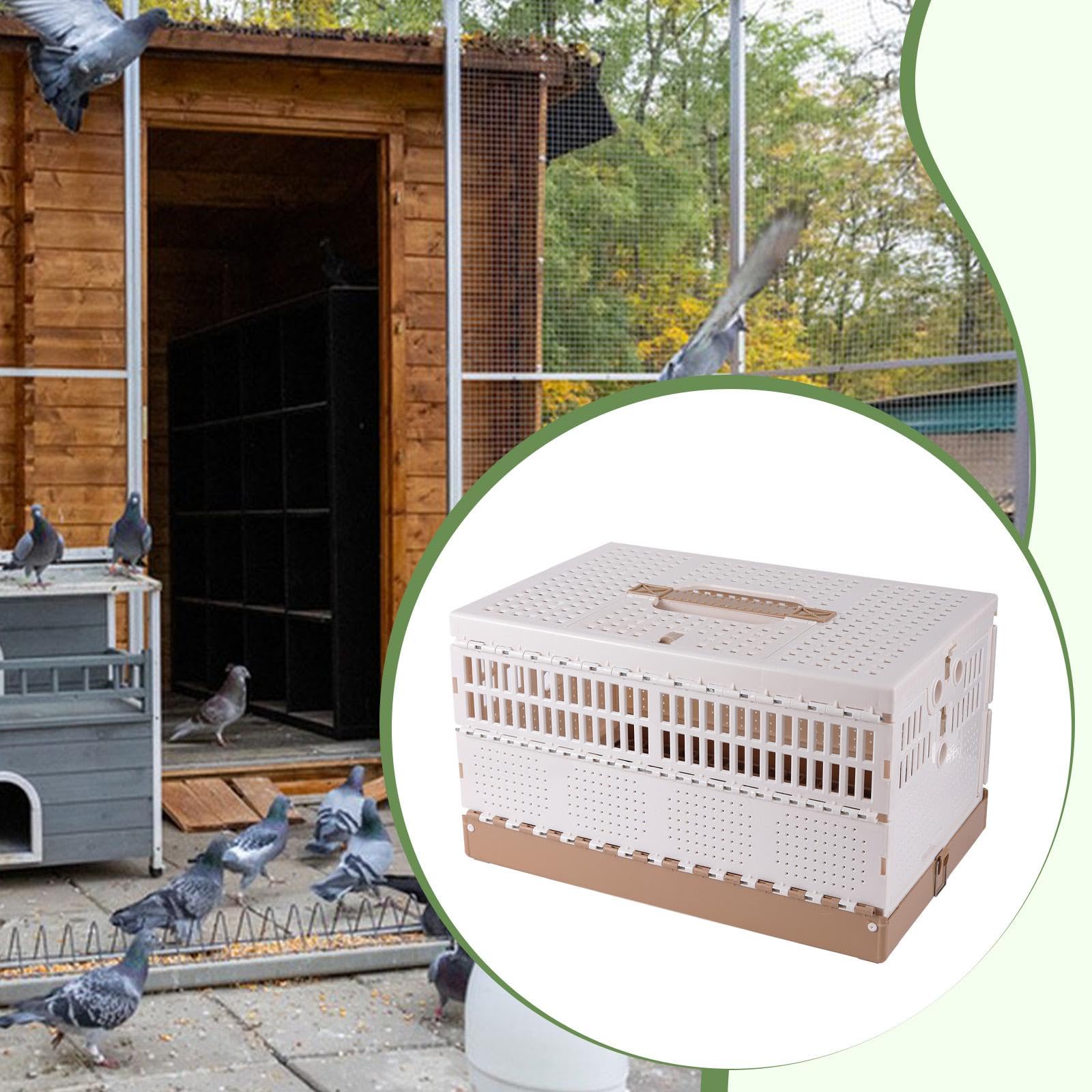 Colcolo Jaula para Palomas, Caja de Transporte, para Exteriores, Jaula de Viaje Plegable para pájaros, Caja Nido para Palomas, para el Transporte y liberación