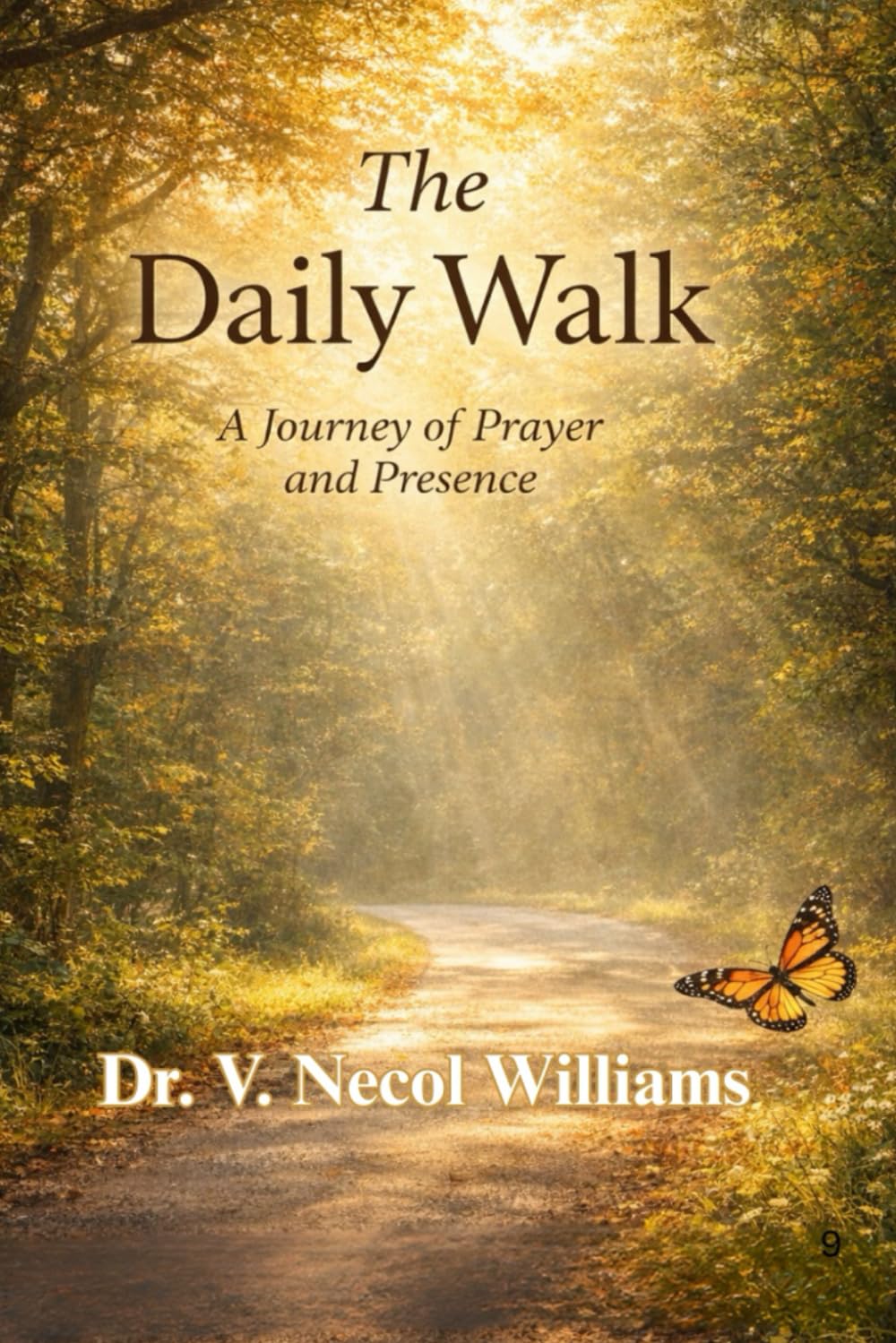 The Daily Walk: A Journey of Prayer and Presence