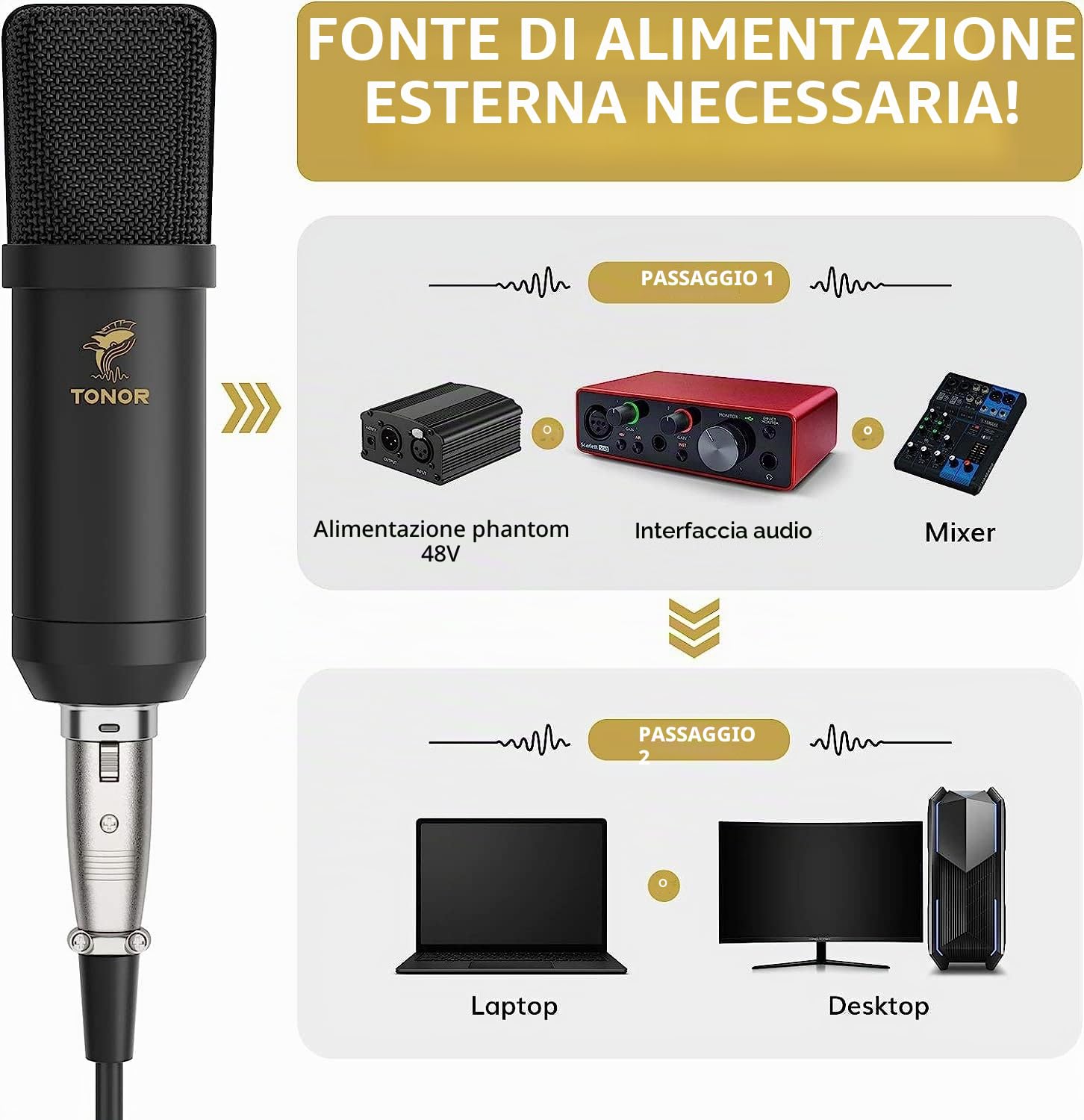 TONOR Microfono a Condensatore, Microfono Professionale Cardioid XLR con Braccio, Supporto Antiurto, Filtro Pop per Registrazione, Podcasting, Voice Over, Streaming, Home Studio, YouTube, TC20