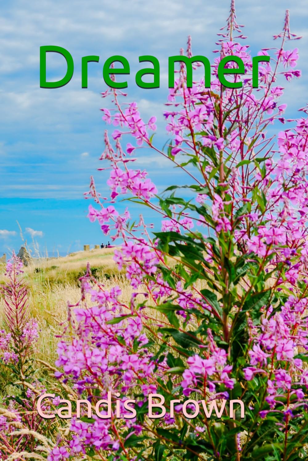 Dreamer
