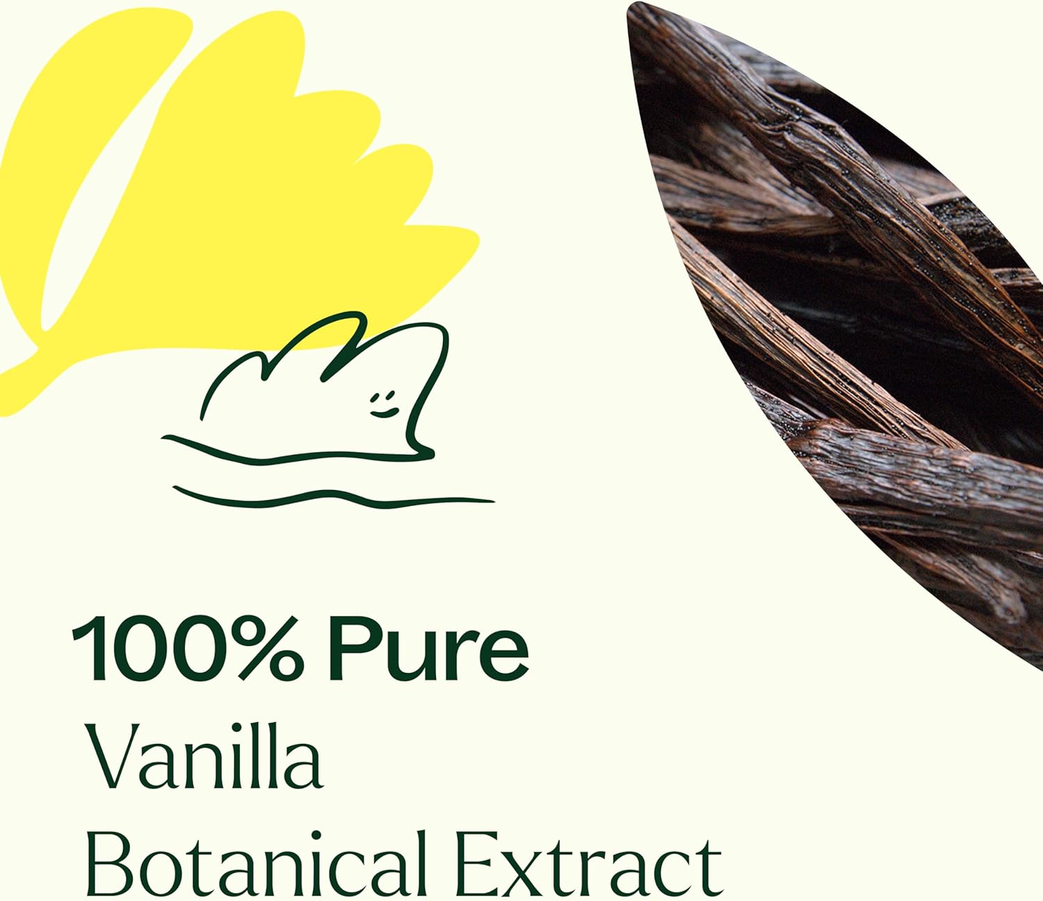 Plant Therapy Vanilla Botanical Extract 30 mL (1 oz) 100% Pure, Undiluted, Romantic, Cozy Scent