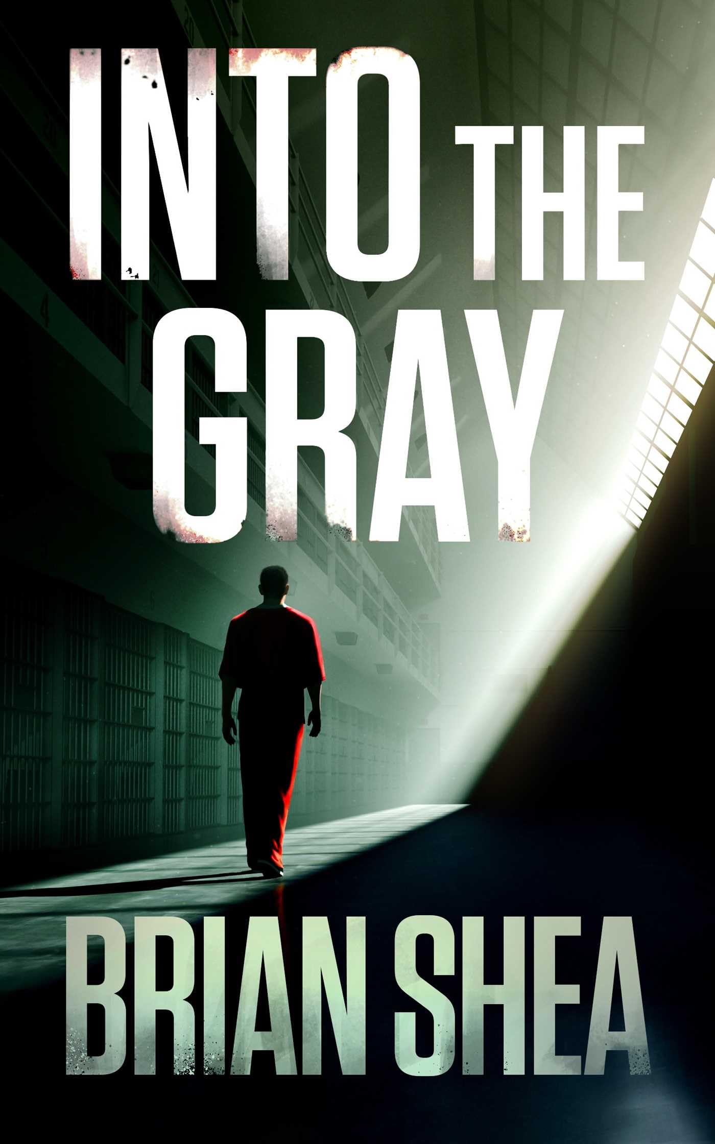 Buy Into the Gray: 6 (Boston Crime Thriller, 6) — BookShops.in