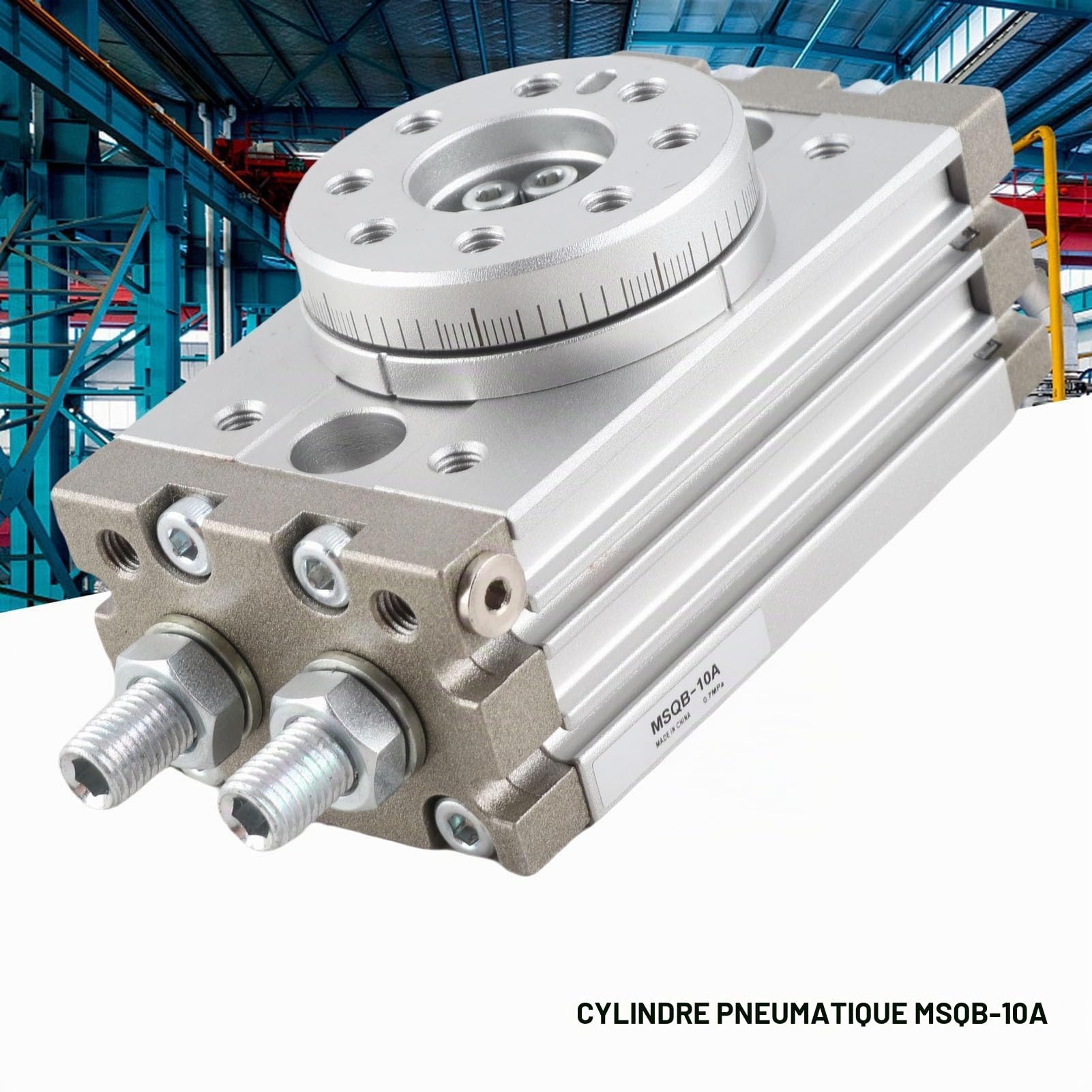 Cylindre pneumatique pneumatique 180 degrés de type Flexible 15mm vérin pneumatique rotatif MSQB-10A 0~60 ° C vérin rotatif pivotant