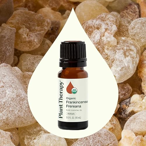 Miniatura 3 de Plant Therapy - Frankincense Frereana (Incienso Frereana) Aceite esencial orgánico 100% puro, certificado por USDA, orgánico, sin diluir,