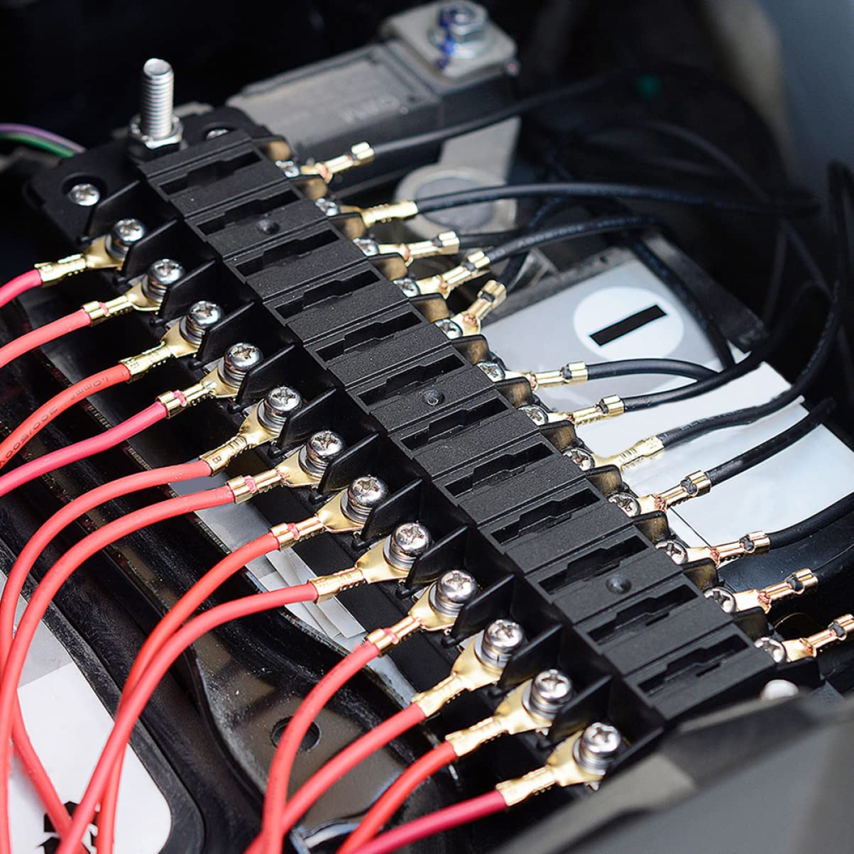 Ciieeo 1 Set Fusibili per Auto e Barca Box Fusibili Vie Design Compatibile con Veicoli e Navi Include e Viti Installazione