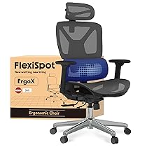 FLEXISPOT ErgoX – Sedia da ufficio ergonomica in rete, girevole, regolabile in altezza, poggiatesta, braccioli e supporto lombare indipendente, sedia da ufficio (grigio scuro)