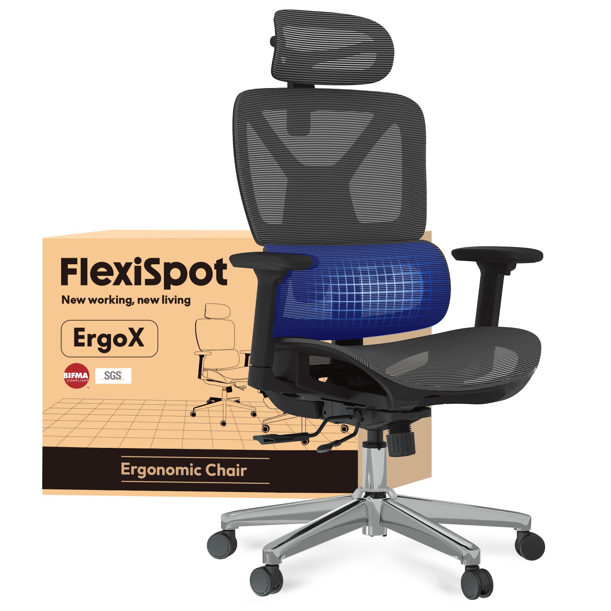 ErgoX Ergonomic Office Chair, Desk Chair, 3D Armrests, 3D Headrest, 5D Adjustable Backrest, Breathable Seat, Maximum Load 136 kg, Work Chair, Grey