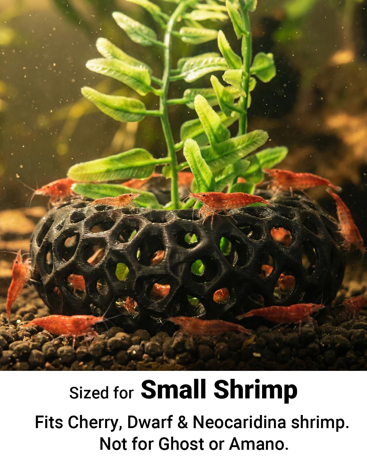 Cueva de camarones para plantas de pecera, paquete de 2 cuevas redondas para acuario para camarones cereza y enanos, accesorios compatibles con plantas, decoración de acuario (negro)