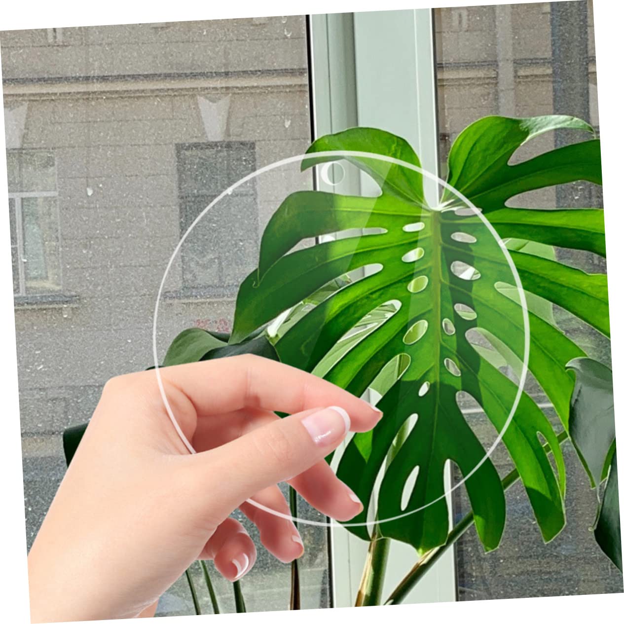 DOITOOL 20pcs Acrylic Circle Blanks for Crafts Round Discs Thick for Keychains Painting and Handcrafts