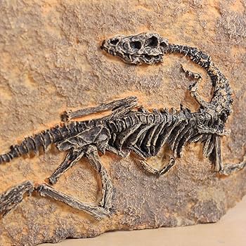 Top Grade Monolophosaurus Fossil Resin Dinosaur Skull Model Halloween Gifts Home Decoration-in