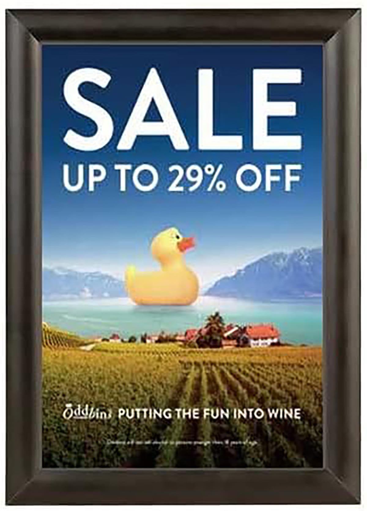 Lot 10 Cadres SNAP A4 d'affichage Photo Pliables clipser clic clac en Aluminium Noir