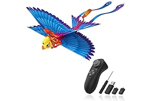 Go Go Bird: Easy RC Mini Drone for Kids and Beginners
