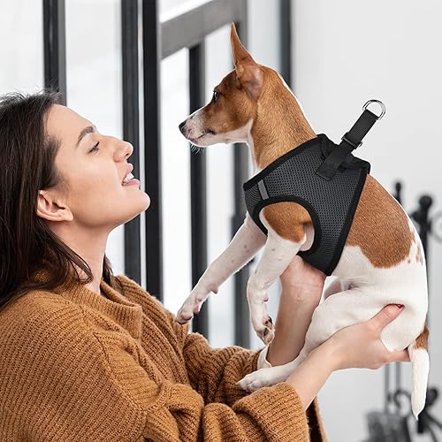 Miniatura 8 de Dogline York Step-in Air - Arnés de malla para perro, sin estrangulamiento, chaleco suave acolchado en el pecho para cachorros, perros pequeños,