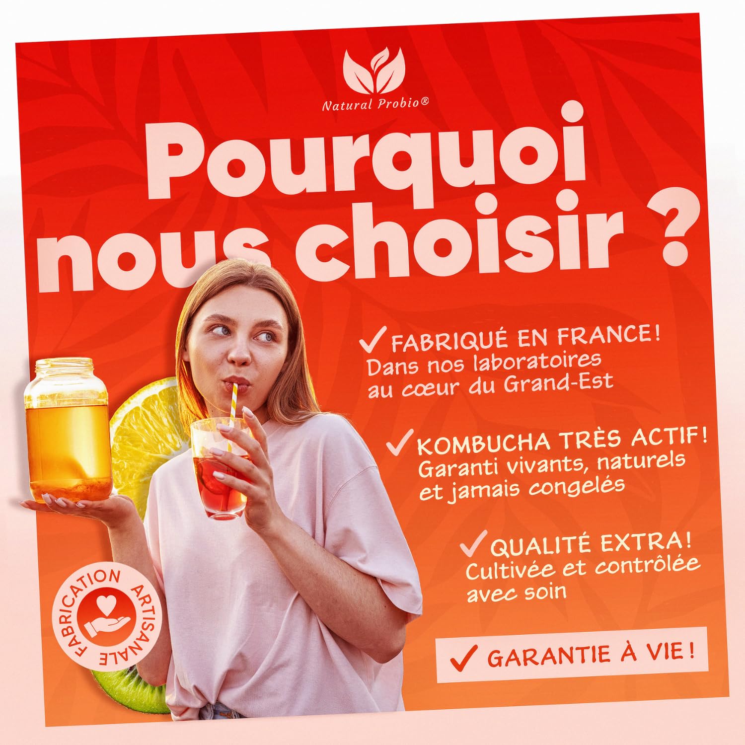 Natural Probio® Original Kombucha Scoby - Kit de démarrage de Culture - Mere de Kombucha de souche Authentique + Notice complète, Recette et Conseils + Accès Ebook offert
