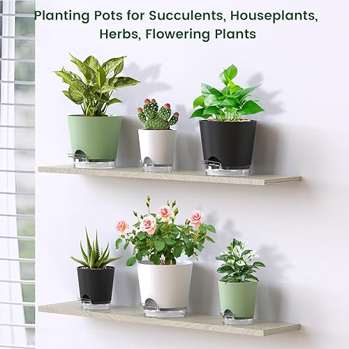 Miniatura 7 de Macetas de riego automático de 4 pulgadas para plantas de interior, paquete de 5 macetas pequeñas con agujeros de drenaje y depósitos transparentes,