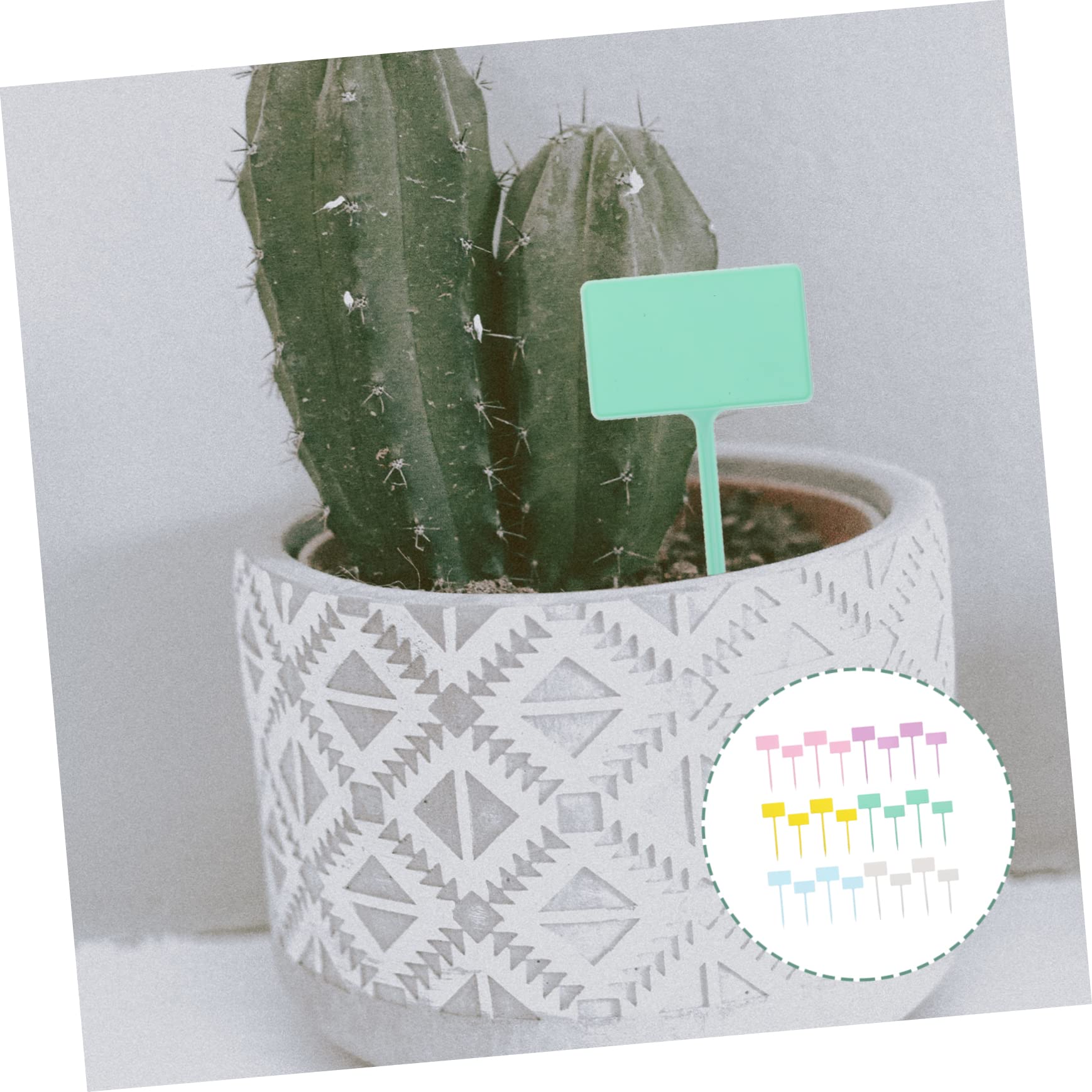 5 Set Etichette Per Piante Cartellini Per Giardinaggio Indicatori Naturali Per Piante Per Diy E Decorazioni Resistente E Facile 24 Pezzi * 5