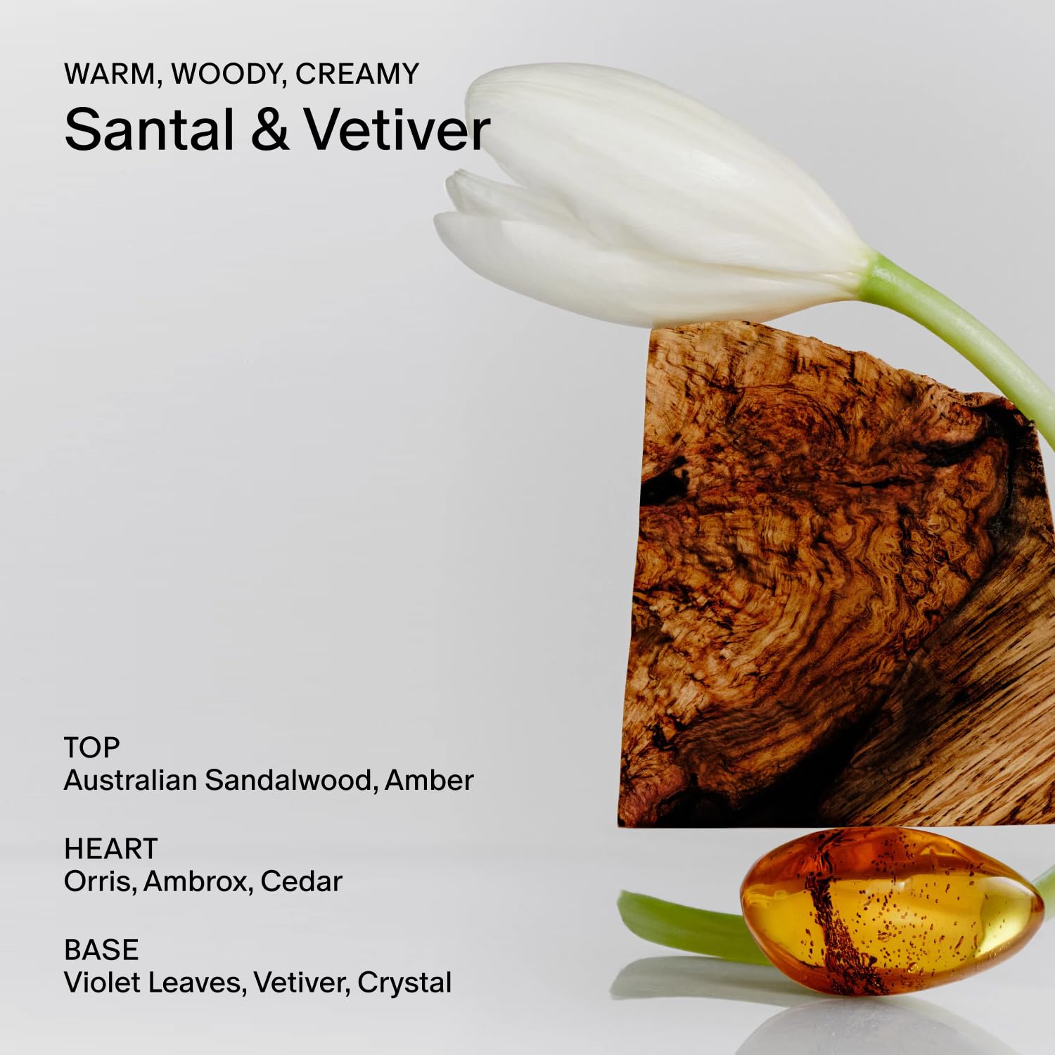 Salt & Stone Deodorant - Santal Vetiver -4 Salt & Stone Deodorant - Santal Vetiver -4