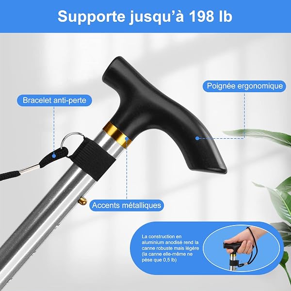 supregear Canne Pliante, Hauteur Réglable à 5 Niveaux Canne de Marche Légère Portable Bâtons de Voyage avec Dragonne et Poignée en T pour Personnes Âgées Handicapées Hommes Femmes - 4