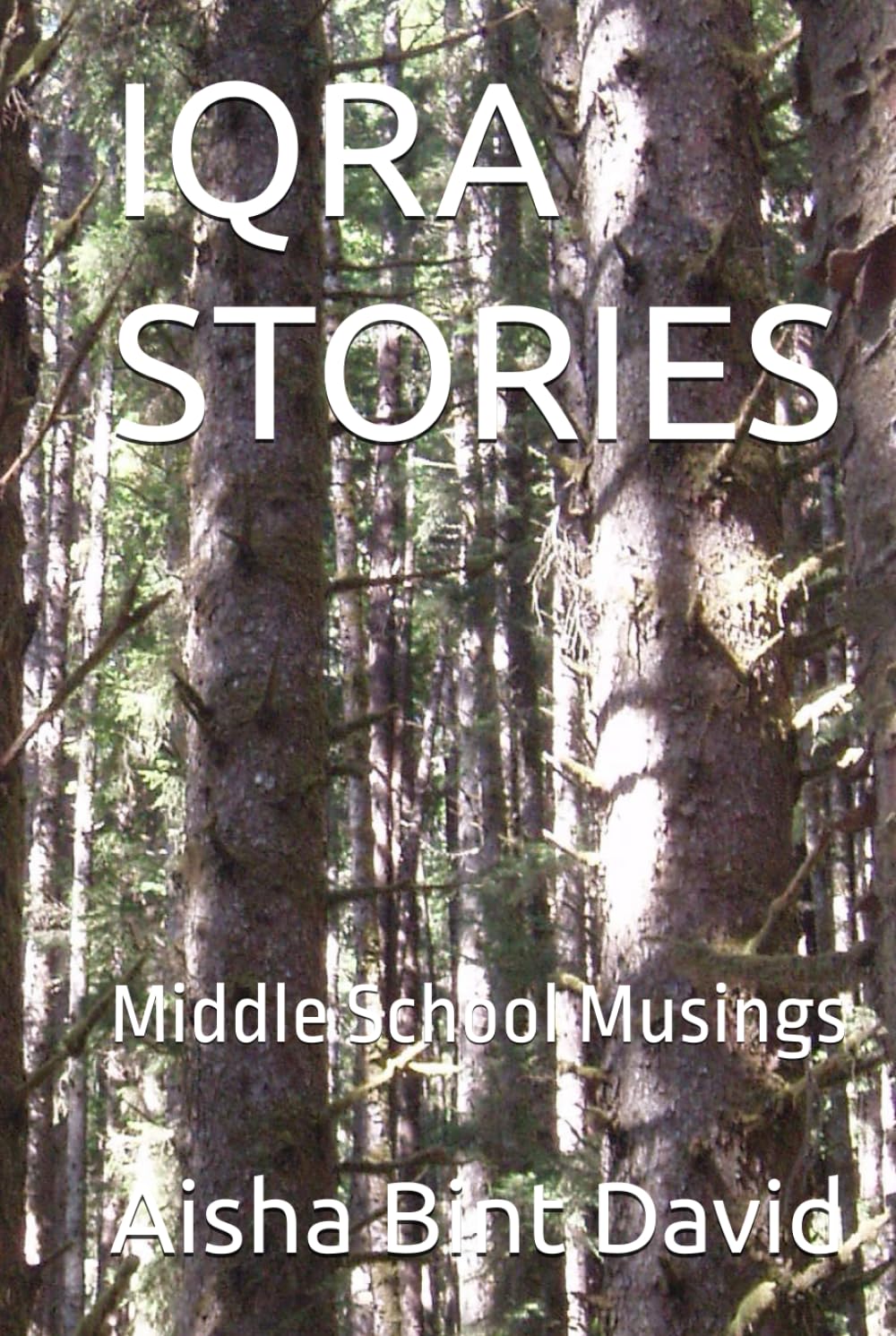 IQRA STORIES: Middle School Musings