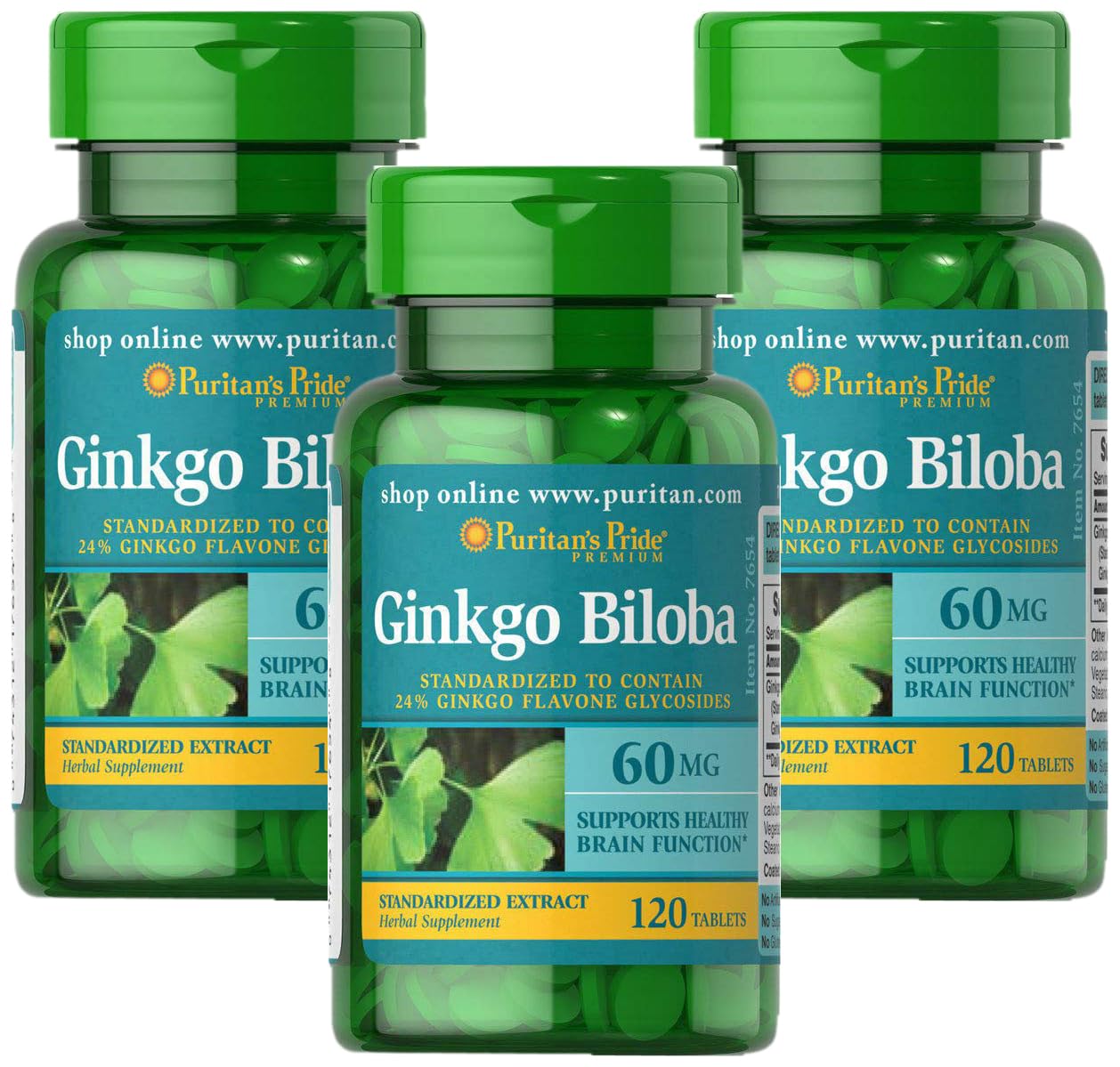 Puritan's Pride Ginkgo Biloba Standardized Extract 60 mg Tablets, 120 Count (Pack of 3)