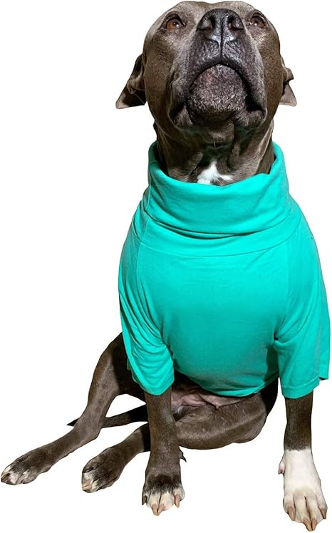 Urban Suburban Apparel Mint Dog
