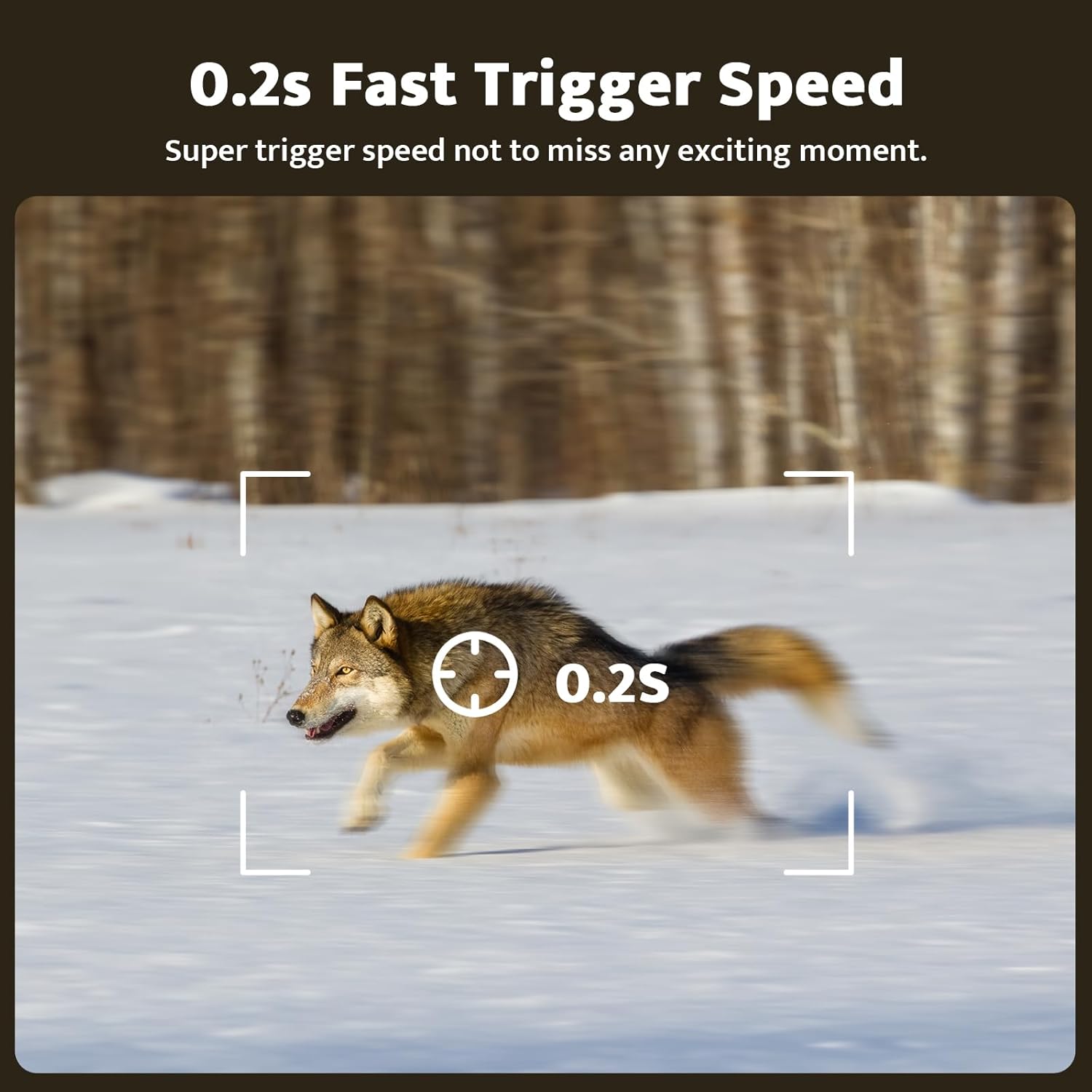 usogood Cellular Trail Cameras Live View Solar Powered, 360° Deer Cameras Game Cameras That Send Pictures to Cell Phone, Night Vision, Motion Activated, IP66 Waterproof, Include SIM Card (Only in US)