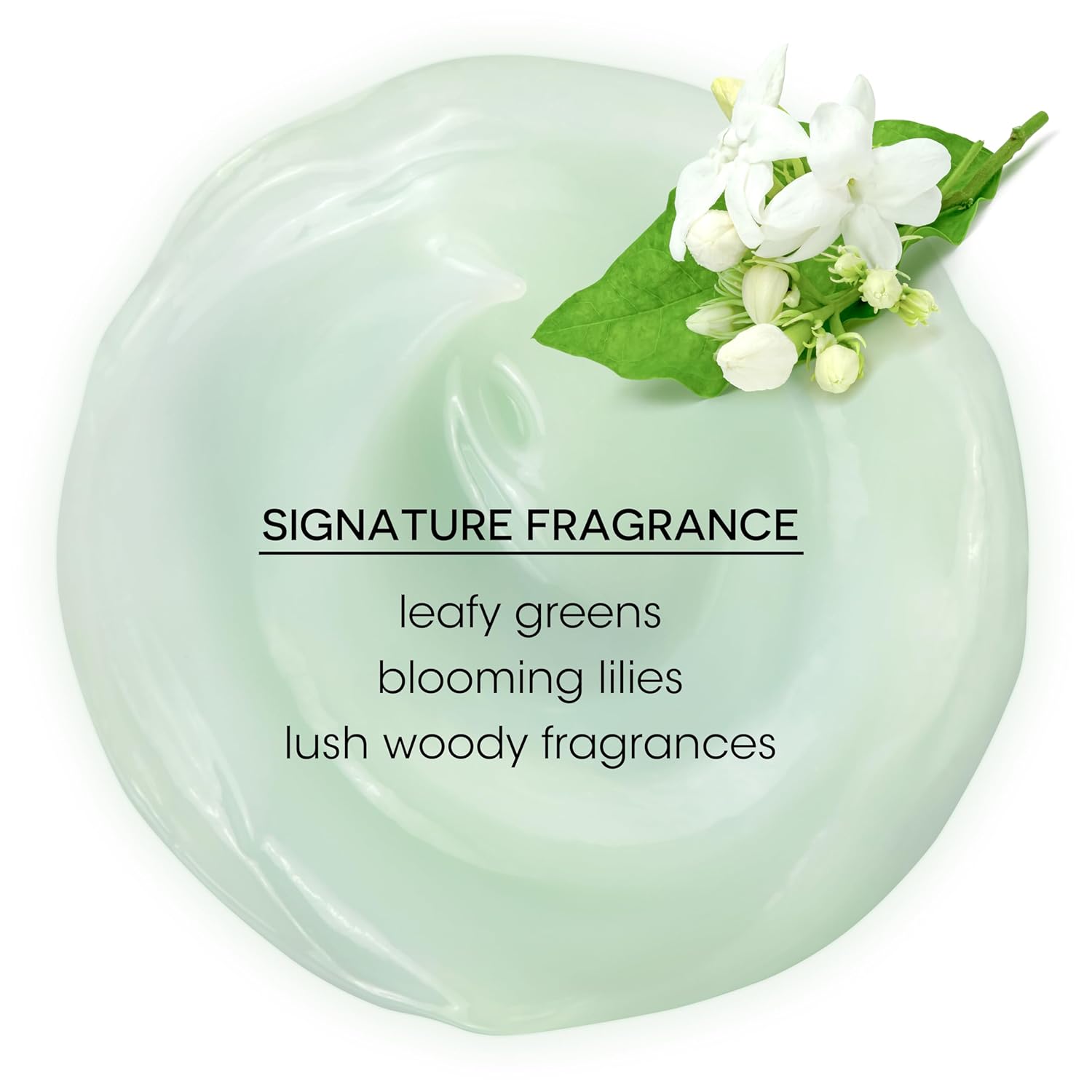 Bain de Terre Green Meadow Balancing Conditioner, Gentle Moisture Balance for Soft, Silky & Bouncy Hair with Argan & Monoi Oils, Paraben-free, Color-Safe, Vegan (2 sizes) - Image 6