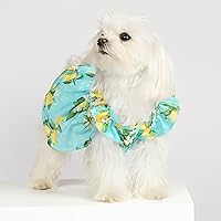 Vista 3 de Fitwarm Vestido de perro de limón, ropa para perros pequeños y niñas, ropa de gato para mascotas, azul turquesa, amarillo, verde, XXS