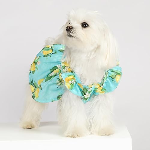Miniatura 3 de Fitwarm Vestido de limón para perro, ropa para perros pequeños y niñas, ropa de gato para mascotas, azul turquesa, amarillo, verde, XS