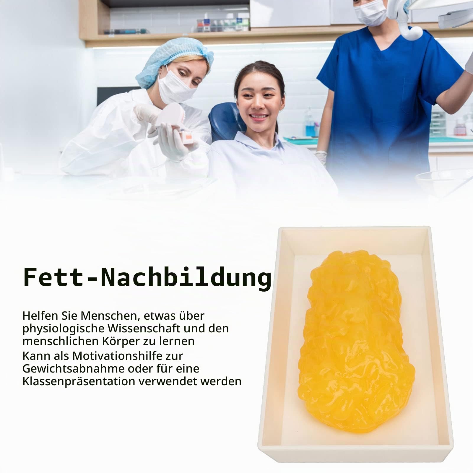 Focket Nachbildung des Menschlichen Körperfetts, Verbesserter Kunststoff Menschliches Körperfettmodell mit Display-Basis, 1 Pfund Fettreplik, Menschliches Fett Anatomisches Modell