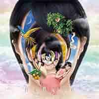 ももクロ　アナログ　LP アマランサス　白金の夜明け　怪盗少女　ベスト盤 Amazon.co.jp: MOMOIRO CLOVER Z DOME TREK 2016 “AMARANTHUS