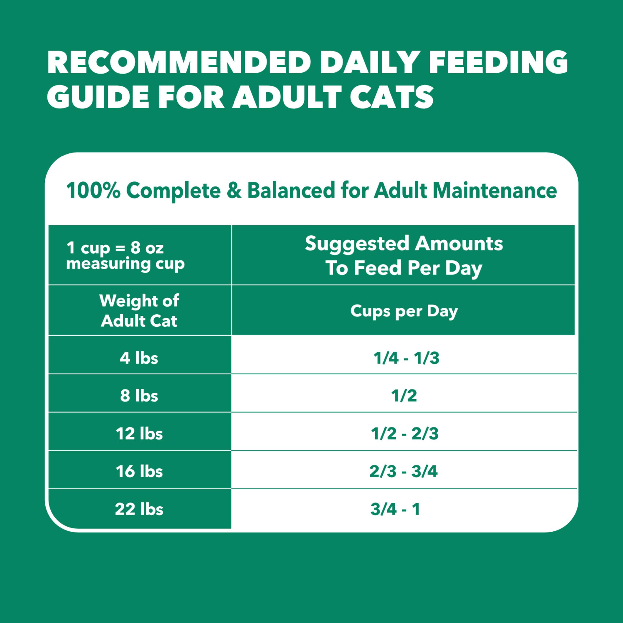 Iams Proactive Health - Alimentos Secos para Gatos Adultos