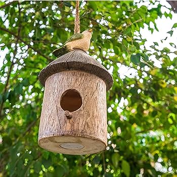 Amazon.co.jp: 野鳥の巣箱 木製の鳥の家、小鳥の巣箱キャビン
