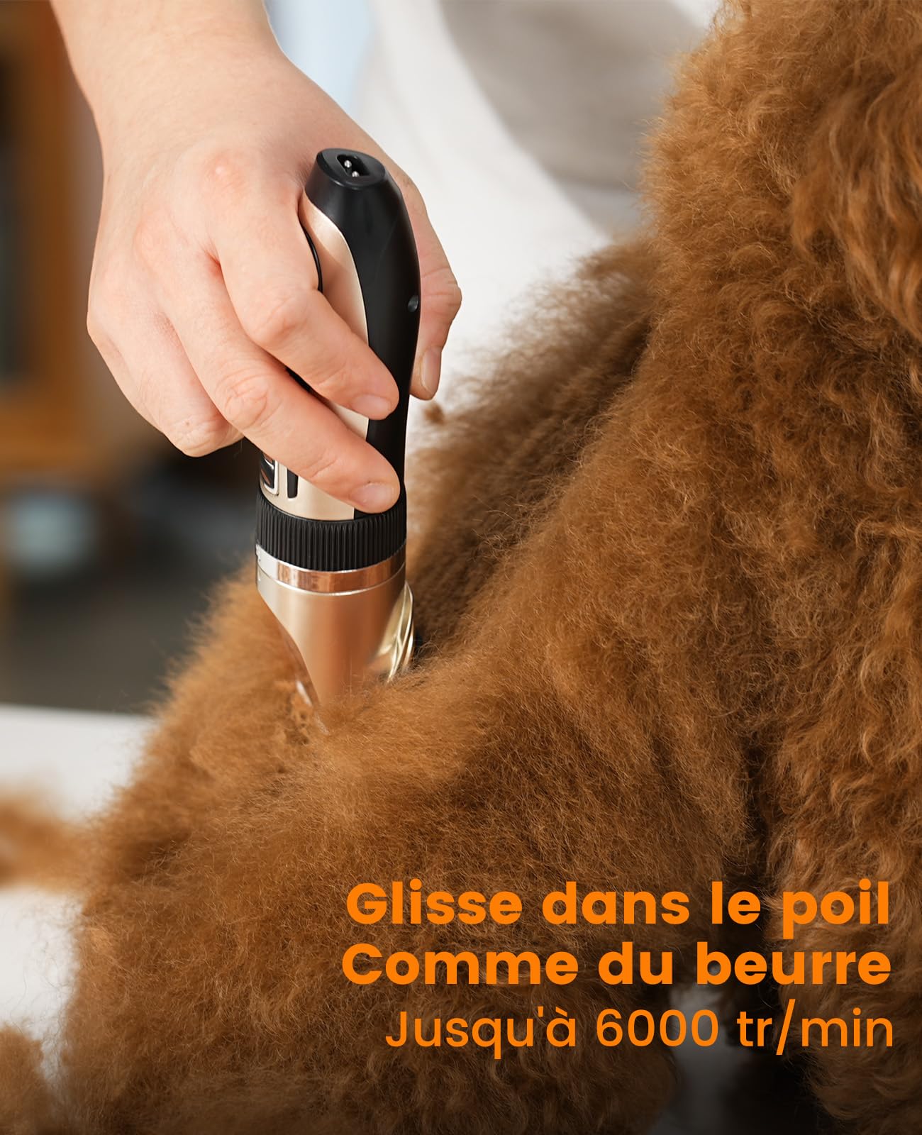 Tondeuse pour chiens et tondeuse pour pattes oneisall, kit 3 en 1, silencieuse, sans fil, pour le toilettage des animaux, pour petits et grands chiens, chats et autres animaux