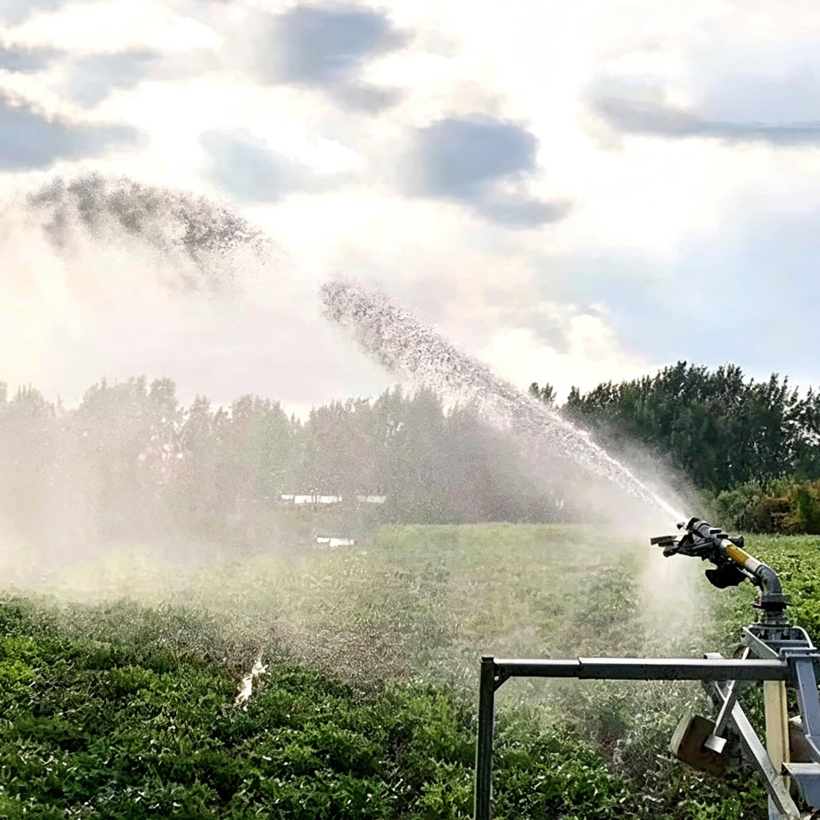 Irrigatore per irrigazione agricola a 360°, sistema di irrigazione rotante per una crescita ottimale delle colture in agricoltura, silvicoltura e uso industriale