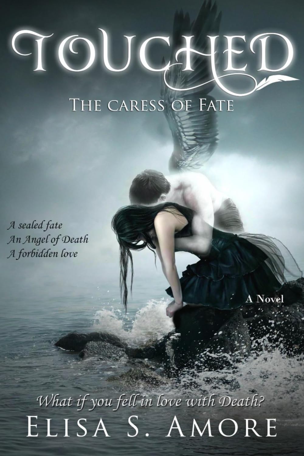 Touched: The Caress of Fate (Collector's Edition): 1 (Touched Saga)